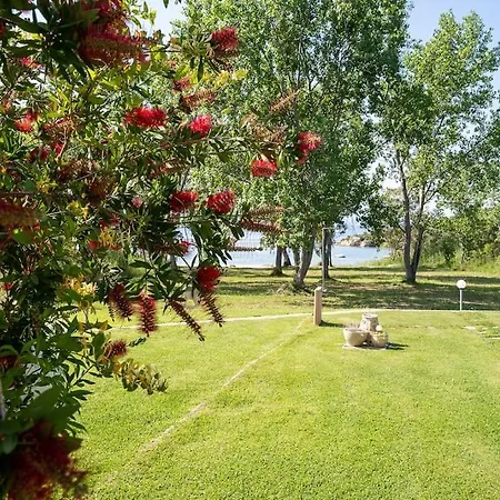 Villa Oasis With Private *