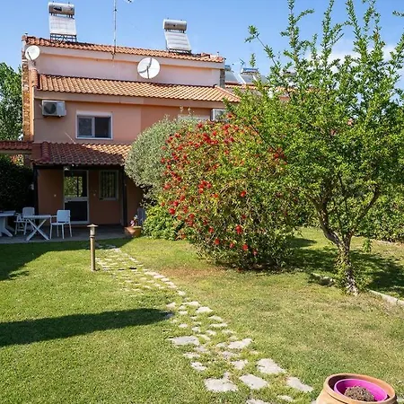 Oasis With Private